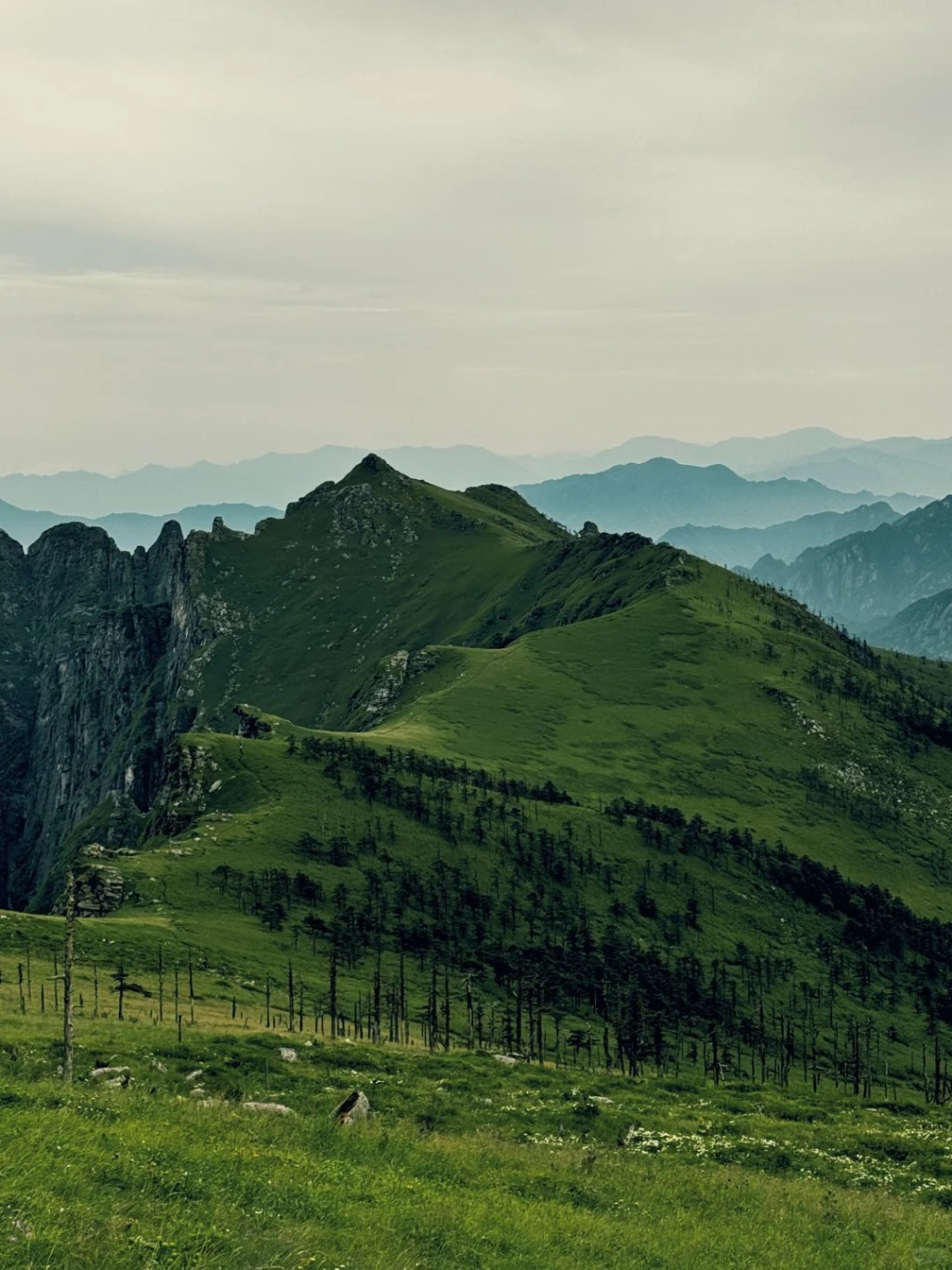 秦嶺鹿角梁。