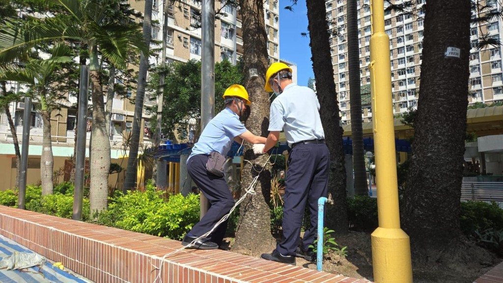 檢查屋邨樹木。何永賢FB