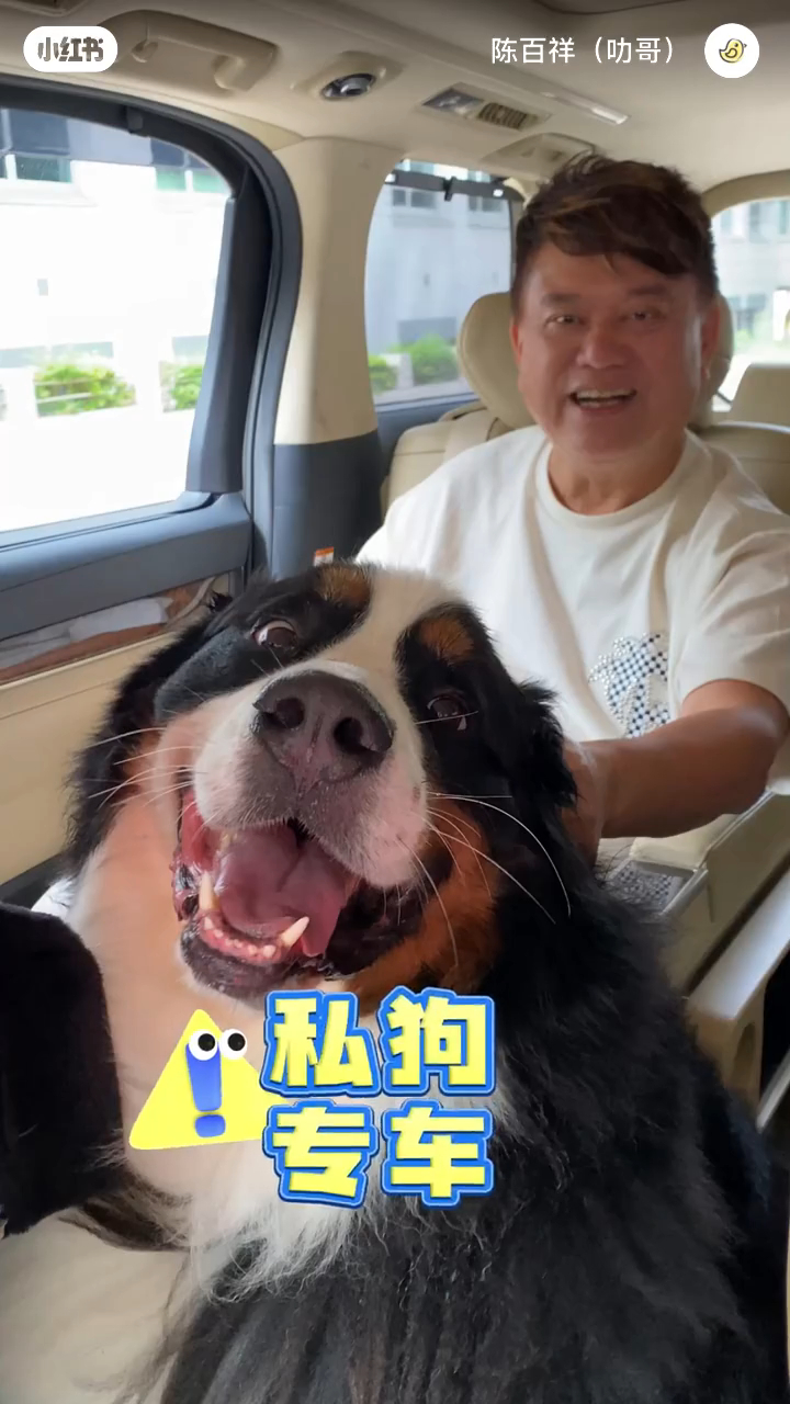 陳百祥與兩愛犬拍片。