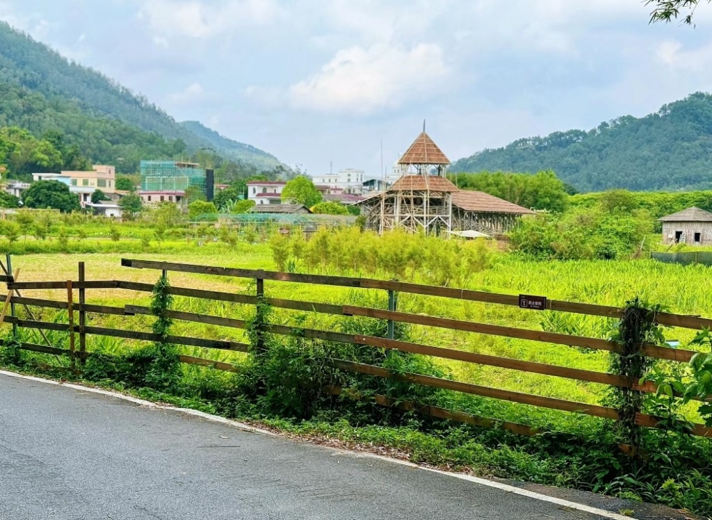 中山親子旅遊2024｜1. 桂南村 沿途一片青綠田園風光，令人心曠神怡。（圖片來源：小紅書＠ JueTedy）　