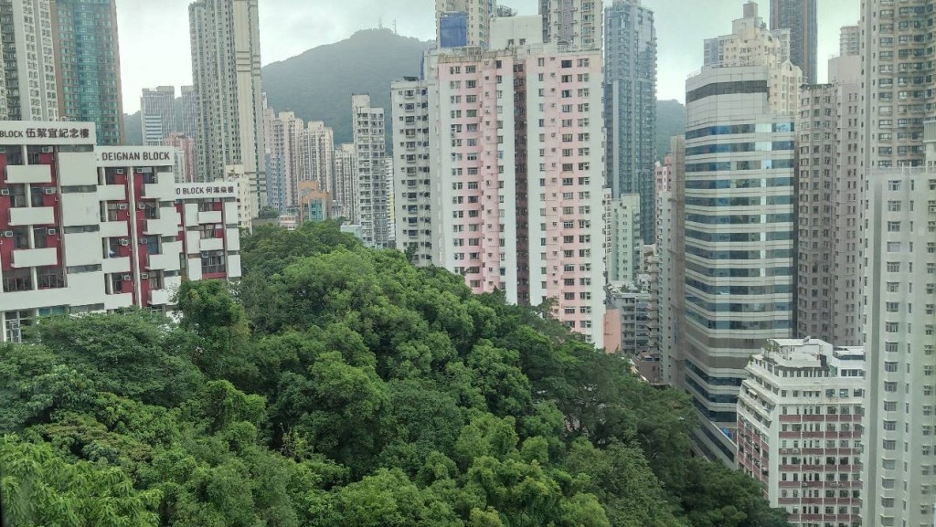 單位向南，外望開揚市景及翠綠山景。