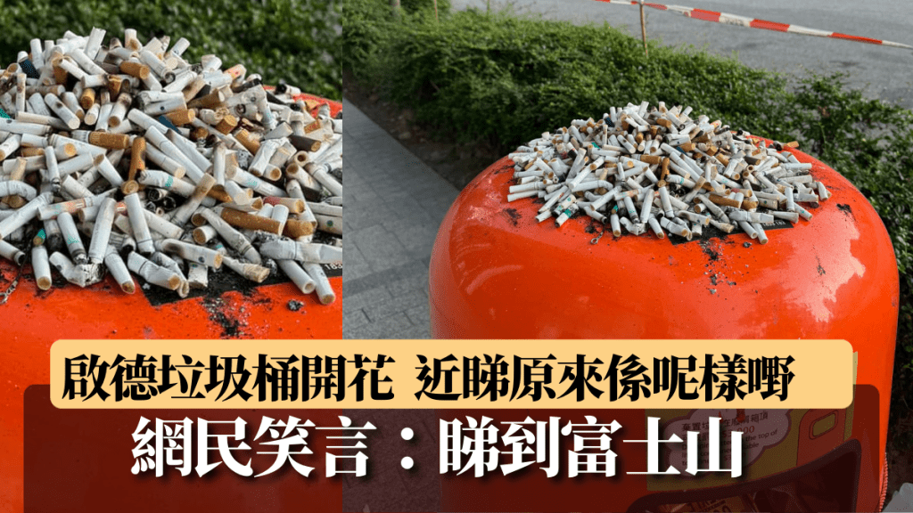 啟德垃圾桶開花  近看原來堆滿呢樣嘢  網民笑言：畀少少錢就睇到富士山