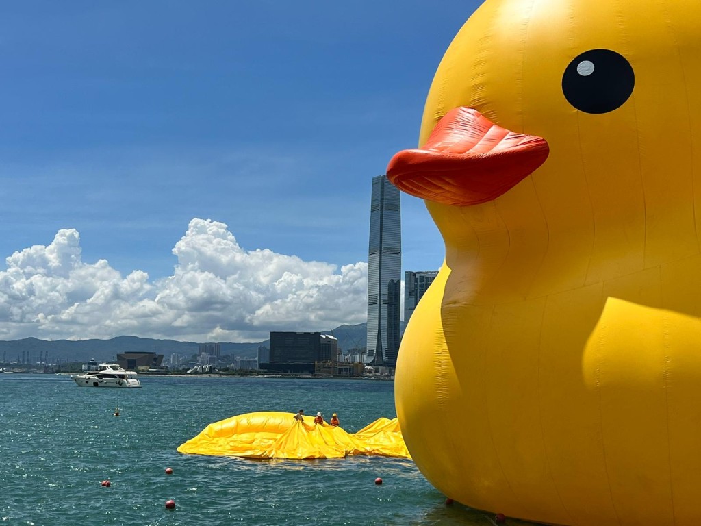 一隻黃鴨展覽首日即泄氣，另一隻只能「形單隻影」獨游維港。陳炯攝