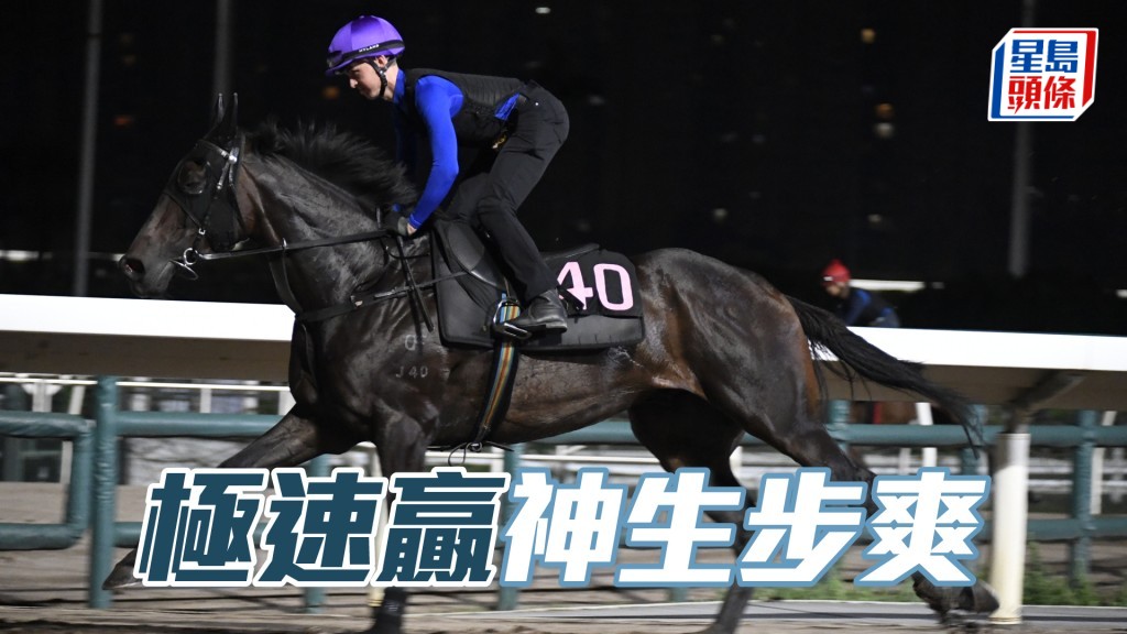 「極速贏」目光銳利，神生步爽，狀態勇銳，鋒芒畢露。