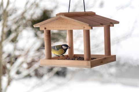 Ein Vogelhaus dient Vögeln als Futterstation