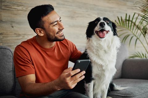 Um Verlassensängste zu vermeiden und das Alleinsein zu trainieren, kann sich eine Hundekamera unterstützend anbieten