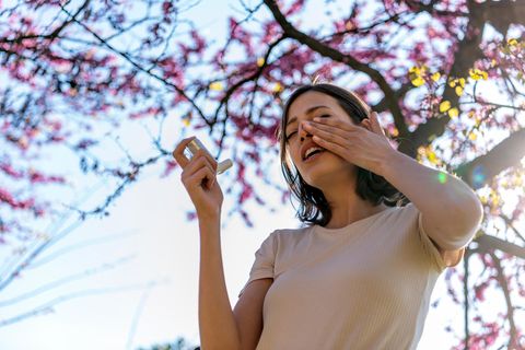 Salben, Tropfen und Tabletten: Welche Medikamente bei Heuschnupfen und Allergien wirklich helfen