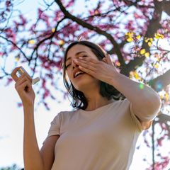 Salben, Tropfen und Tabletten: Welche Medikamente bei Heuschnupfen und Allergien wirklich helfen