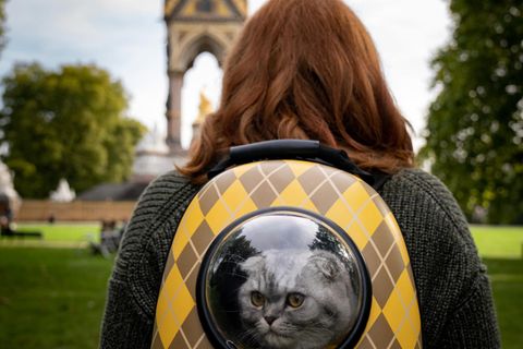 Bryce Dallas Howard mit Katze im Rucksack