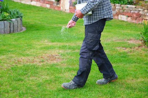 Rasendünger in der Hand des Menschen auf Gartenhintergrund