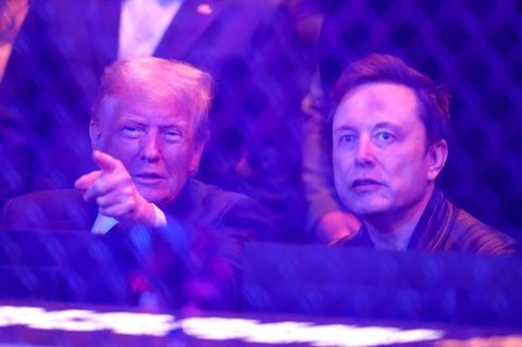 Donald Trump (l.) und Elon Musk bei einem Mixed-Martial-Arts-Event an diesem Wochenende im Madison Square Garden in New York