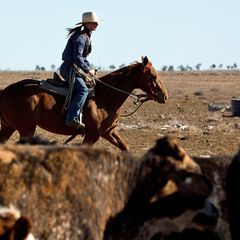 Frauen im Outback: Unterwegs mit Australiens Cowgirls