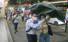 強風襲港多區有塌樹及棚架墮下