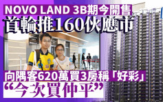 NOVO LAND 3B期首轮推160伙 即沽136伙 向隅客620万入市感好彩：今次买更平