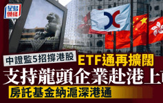 中证监5招撑港股 ETF通再扩阔 支持龙头企业赴港上市 业界料助提升估值