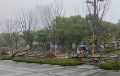 颱風「貝碧嘉」｜75年來襲滬最強颱風  多地逾1600航班取消蘇州停送外賣︱有片