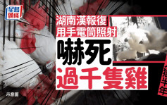 湖南漢故意用電筒亂照射嚇死逾千隻雞  官判入獄６個月