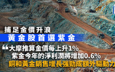 捕足金价升浪 黄金股首选紫金 一只股份对金价上升更敏感｜投资追击