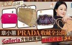 章小蕙约30个PRADA收藏大晒冷！至爱实用Galleria方包 手工细致蜥蜴蛇皮袋二手价曝光