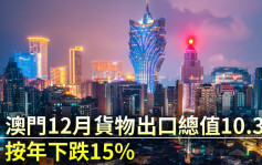 澳門去年12月貨物出口總值10.3億 按年下跌15%