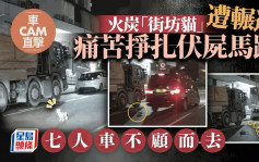 車Cam直擊│火炭七人車輾斃「街坊貓」不顧而去 網民悲憤：追究到底