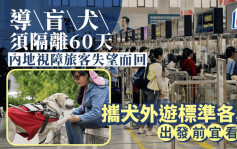 每日雜誌｜導盲犬須隔離60天 內地視障旅客失望折返 攜犬外遊標準各異 規條複雜宜看清