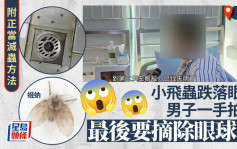 廁所黑色蛾蚋︱深圳男隨手拍死   點解最終無咗隻眼？