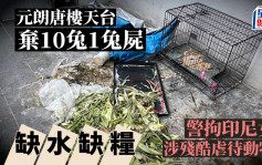 元朗唐樓天台棄10兔1兔屍 缺水缺糧 警拘印尼女住戶涉殘酷虐待動物