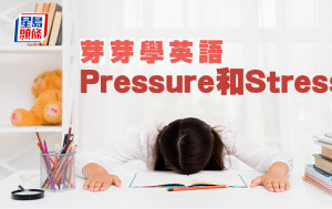 陳東紅 - Pressure和Stress｜芽芽學英語