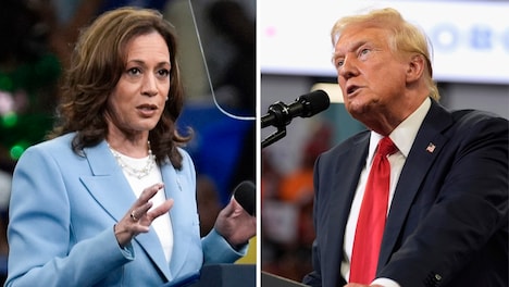 Economists make a big swing in favour of Kamala Harris