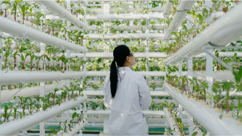 scientist-recording-plant-growth