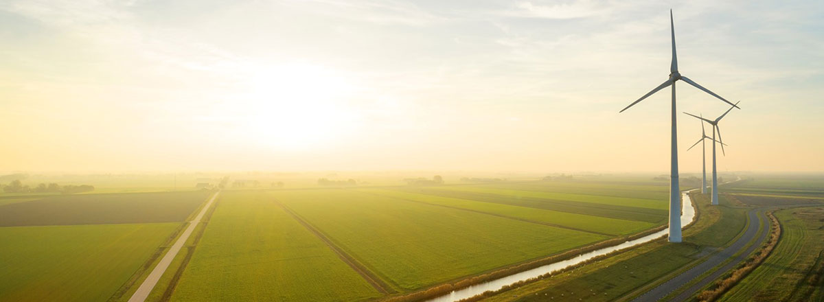 Windmills along a river and green farm fields