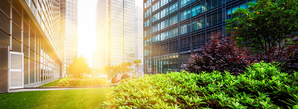 buildings landscape in the sun