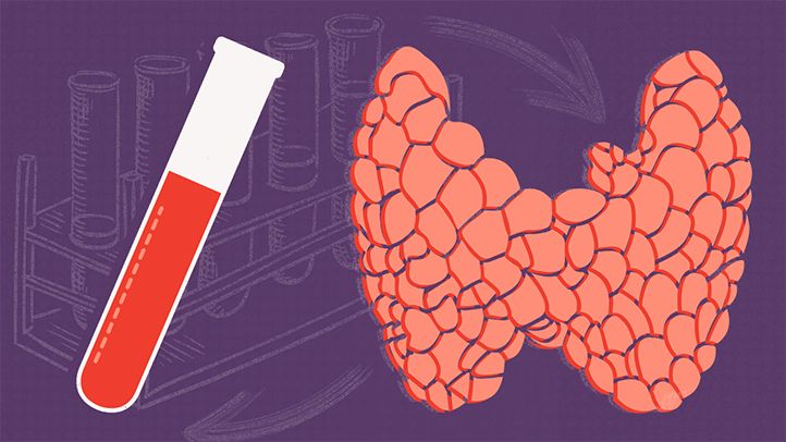 blood test test tube vile thyroid