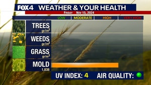 DFW Allergy Report