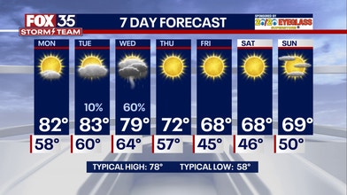 7-Day Forecast