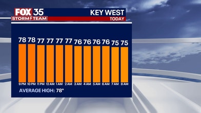 Hour-by-Hour Temperatures