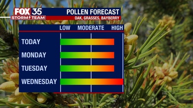 Pollen Forecast