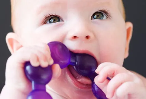 By the time she’s about 6 months old, tiny teeth will start to poke through her gums.