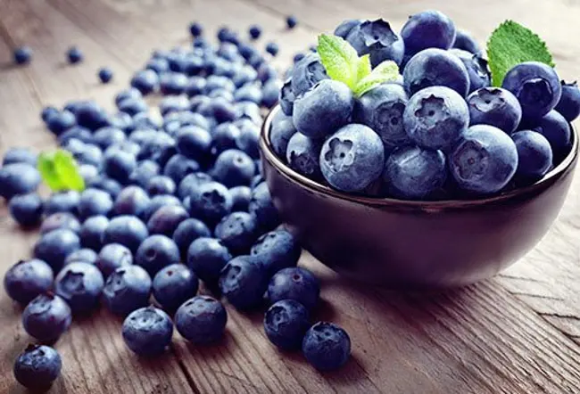 The deep blue of these berries does more than make a pretty pie.