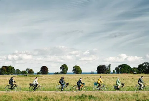 A group of cyclists rides through a grassy pasture.