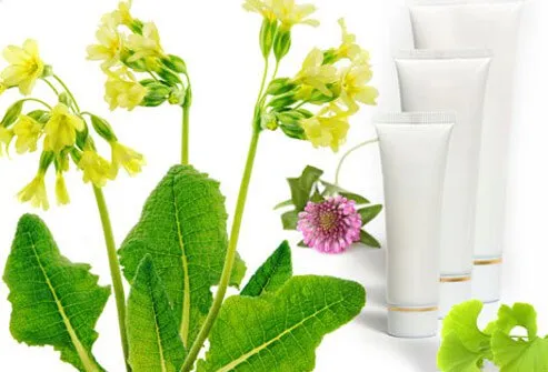 Herbal creams whose manufacturers claim that they reduce the appearance of cellulite suffer from the same shortcomings as other topical therapies.