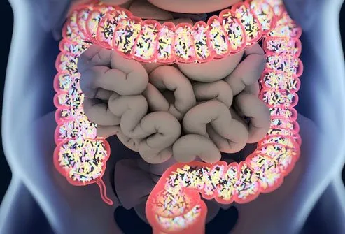 Organisms in your intestines make up the gut microbiome. 