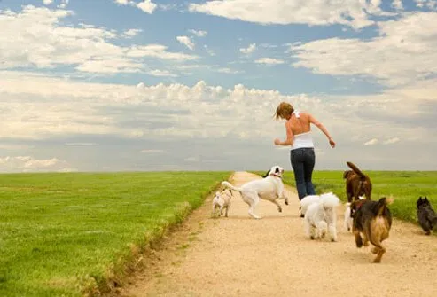 A woman runs with dogs in a field.