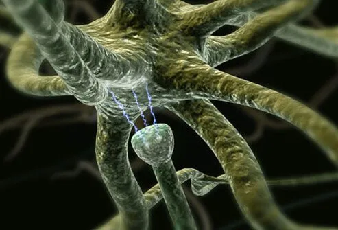 Illustration of neurons (nerve cells) in the brain communicating through neurotransmitters.