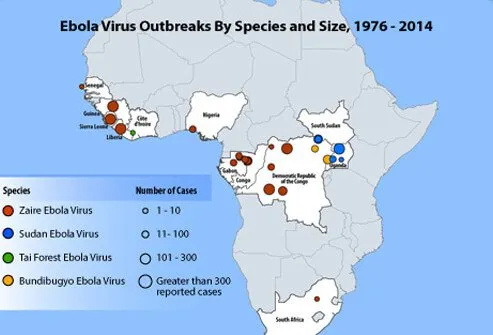 Since 1976, outbreaks have occurred sporadically in Zaire, Sudan, Democratic Republic of Congo, Gabon, and Uganda.