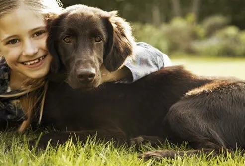 Some dogs appear to sense a seizure before it begins, and the dog's activity alerts the patient and allows the patient to prepare for a seizure.