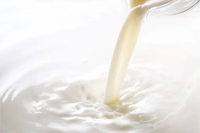 Raw, unpasteurized milk is a potential source of foodborne illness. 