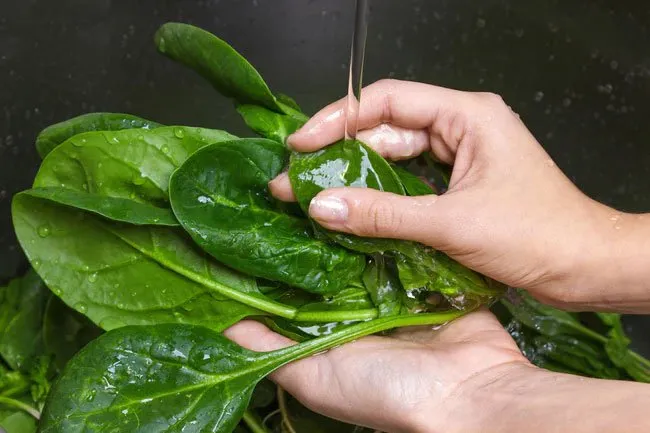 Keep spinach unrinsed in a tightly sealed bag in the fridge for up to five days. 