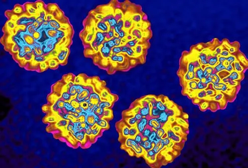 An antibody hepatitis C test can determine whether or not a person has ever been infected with hepatitis C.